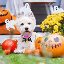 6/10/20pcs Halloween Dog Collar - Adjustable Pet Collar Accessories - With Pumpkin Devil Ghost Pattern, Suitable For Small And Medium Sized Dogs And Cats Such As Pomeranian Teddy Marzis To Wear - Multicolor - View 9