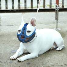 1pc Upgraded Breathable Mesh Dog Muzzle, Adjustable Buckle, Anti-Bite Anti-Swallow Muzzle, Suitable For Pug And Bulldog - Multicolor - View 7