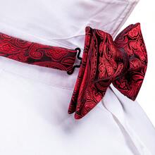 經典佩斯利紅色領結 3 件套配件組合，適用宴會派對穿搭 - 紅色 - 查看 7
