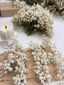 Bianco Verde 1
