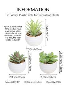 3件組人造迷你多肉植物，綠色多肉植物，白與黑盆，PE材質，人造植物，人造多肉植物，桌面裝飾，家居裝飾，花園裝飾，學校宿舍辦公室裝飾，母親節禮物，秋季感恩節聖誕節萬聖節多用途裝飾 - 白色 - 查看 13