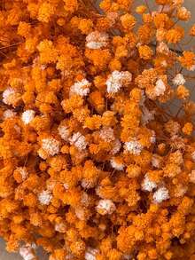 25/50/100/300pcs Mini Baby's Breath And Other Artificial Flowers - For Resin Mold Art And Handicrafts, Used For Hair Accessories, Wedding Wreaths, Table Flowers, Home Decor, Envelope Decoration, Etc. - Orange - View 4