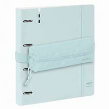 Option 17 (Case)