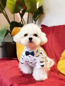 PETSIN 紳士休閒蝴蝶結時尚可愛多色丹寧效果襯衫，適合小型犬，四季皆宜，防掉毛，理想貓咪、巴哥犬、博美犬派對與節日穿著 - 藍白色 - 查看 3