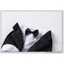 Pet Striped Tuxedo With Bow Tie, Gentle Wedding Formal Wear, Suitable For Dogs And Cats, Corgi Teddy Party Outfit - Black - View 7