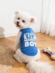LUCKIE LABO 1件裝 Mama's Boy 字母熱門標語圖案寵物背心，物理防蚤、減少掉毛、保暖透氣，適合大型犬、小型犬與貓，室內外皆可用 - 藍色 - 查看 6