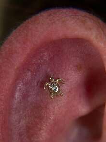 EleRunis 1pc 925 Sterling Silver Exquisite Ocean Animal Flat Back Labret Stud, Shell Cartilage/Ear Lobe/Helix Piercing Jewelry, Punk Style Delicate Jewelry, Suitable For Daily Wear And Party - Gold - View 4