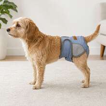 Pet Sanitary Panties Dog Diapers For Female Dogs In Heat Anti-Harassment Large Dog Pet Diapers Pet Supplies - Baby Blue - View 2