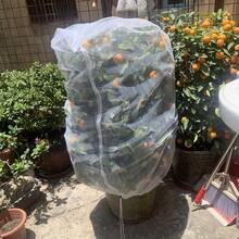 1件裝水果樹防護網袋（附拉鍊與抽繩），可重複使用，多尺寸可選，保護水果，秋季採收用品，適用於果樹，防鳥網，防止鳥類、害蟲與鹿造成的損害 - 多款 - 查看 10