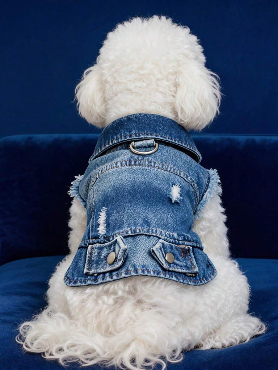 PETCIRCLE 1PC Pet Clothes Small Dog Puppy Cute Pet Distressed Style Lapel Collar With Leash Clip Cool Outerwear - Multicolor - View 1
