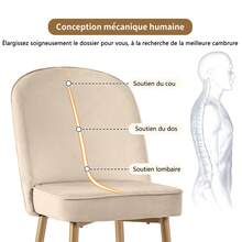 Dining Chairs, Modern Beige Velvet Dining Chair Set With Golden Metal Legs, Stylish And Comfortable - 米色 - 查看 4