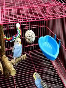 1pc Bird Bath For Parrot Cage - Hanging Bird Bath Tub, Parrot Bath Box, Bird Cage Accessories Bathing Supplies, Portable Parrot Bath Basin - Bath - View 5