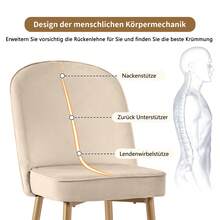 Dining Chairs, Modern Beige Velvet Dining Chair Set With Golden Metal Legs, Stylish And Comfortable - 米色 - 查看 10