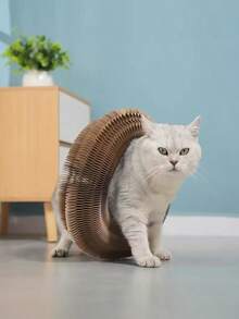A Foldable Claw Grinding Tool, A Cat Toy In The Style Of A Portable Accordion, With A Bell Bag Made Of Interactive Cardboard, Durable And Suitable For Claws, Is An Ideal Choice For Cats To Have Fun Playing. - Multicolor - View 5