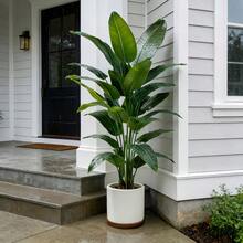 113.5cm/45.2inch Artificial Outdoor Banana Tree - Outdoor Decor, Upright Stems With Long And Soft Leaves. Maintenance-Free, Beautiful Decorative Tree, Suitable For Indoor Decoration/Outdoor Arrangement, Courtyard, Garden, Wedding, Shopping Mall And Amusement Park Decoration - Year-Round Holiday Decoration, Tropical Rainforest Landscape Arrangement, Ideal Choice For Home Artificial Plants, Pot Not Included - Multicolor - View 6