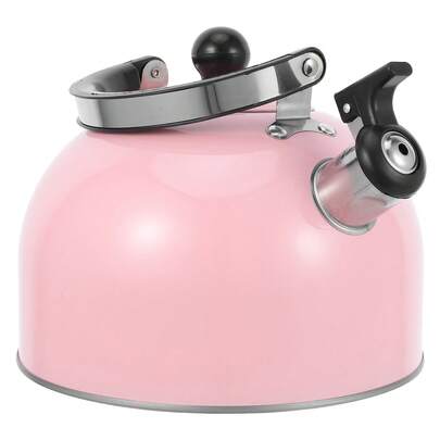 3L Stainless Steel Whistling Kettle, Stovetop Tea Kettle With Handle, Large Capacity Teapot For Home, Office, Camping & Travel