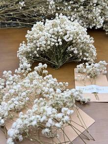 White Green 5