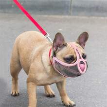 1pc Upgraded Breathable Mesh Dog Muzzle, Adjustable Buckle, Anti-Bite Anti-Swallow Muzzle, Suitable For Pug And Bulldog - Multicolor - View 8