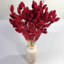Burdeos