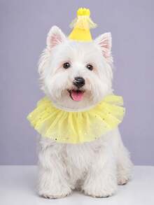 Sequin Lace Pet Birthday Set, Birthday Hat With Decorative Scarf, Cat And Dog Holiday Outfit - Multicolor - View 7