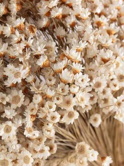 30/60/100/200pcs Artificial Brazilian Star Flowers & Mini Chamomile Daisy, Floral Fillers For Wedding Home Decor & Valentine's Day Gift