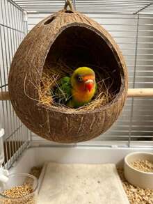 1pc Handmade Bird Nest Garden Decor, Brown Coarse Woven Straw Bird Nest, Suitable For Pet Birds Or Parrots, Natural Small Pet Bird Nesting Pad, Nest, Bed, Anti-Pecking Warm Pad, Suitable For Parrots, Budgies, Long-Tailed Parrots, Canaries, Round Warm - Y - View 1