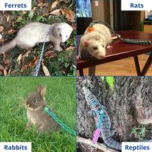 1 Set Adjustable Small Pet Harness And Leash Set, Woven Collar With Wide Woven Tracking Leash, Pet Outdoor Travel Leash Set, Anti-Slip Walking Restraint Set, Suitable For Ferrets, Rabbits, Guinea Pigs And Other Small Pets Outdoor Grass Activities - Multicolor - View 2