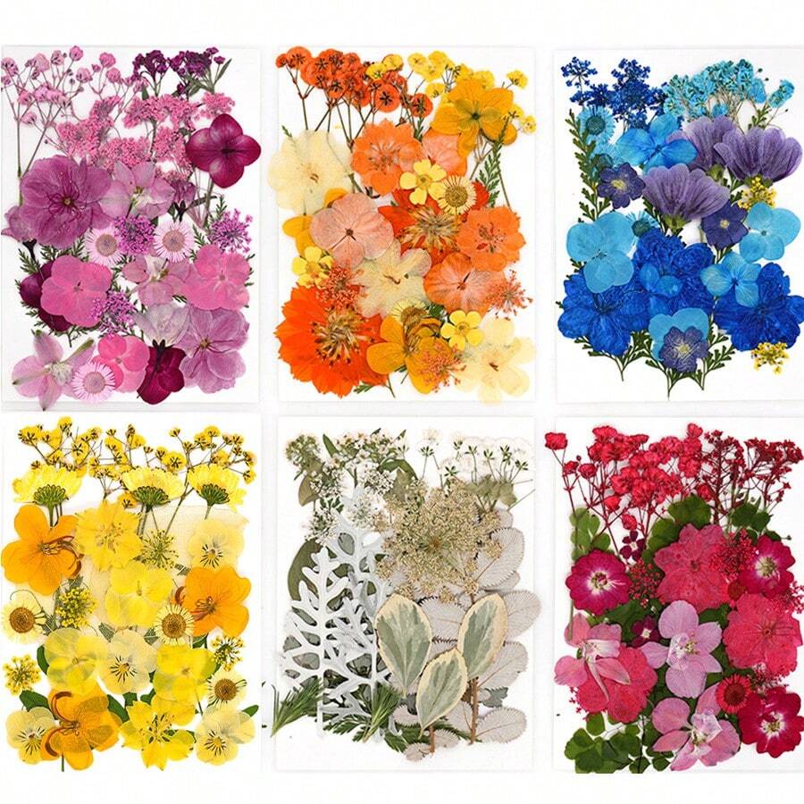 Mixed Floral Craft Decorations, Botanical Embellishments For Resin DIY, Jewelry Making, Scrapbook, Bookmark, Phone Case & Creative Projects - Multicolor - View 1