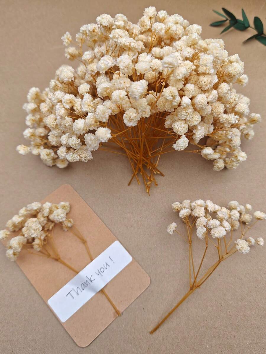 15/50/100/150/300pcs Mini Baby's Breath And Other Artificial Flowers - For Resin Mold Art And Crafts, Ivory White Bouquet For Hair Accessories, Wedding Wreaths, Table Flowers And Home Decor - Beige - View 1