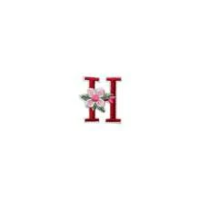 1/26pcs Computer Embroidered Floral Multi-Color English Letter A-Z Badge Patch, Clothing Accessory Decorative Patch With Back Adhesive Embroidery Fabric - Multicolor - View 14