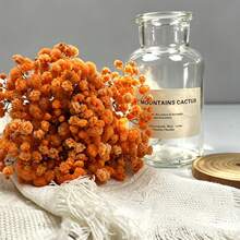 25/50/100/300pcs Realistic Artificial Maintenance-Free Flower Bouquets, Suitable For Home Decor, Floral Arrangements, Flower Shop Supplies, Gypsophila Mini Flower Bouquets, DIY Handmade Crafts, Wedding, Home And Office Decor, Party And Garden Decoration, Pressed Flowers Floating Vase Glass Dome Floral Materials, Wreath Handmade Crafts - Orange - View 8