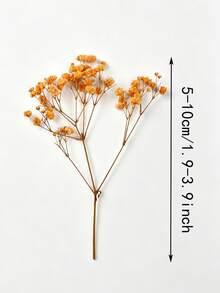 25/50/100/300pcs Realistic Artificial Maintenance-Free Flower Bouquets, Suitable For Home Decor, Floral Arrangements, Flower Shop Supplies, Gypsophila Mini Flower Bouquets, DIY Handmade Crafts, Wedding, Home And Office Decor, Party And Garden Decoration, Pressed Flowers Floating Vase Glass Dome Floral Materials, Wreath Handmade Crafts - Orange - View 5