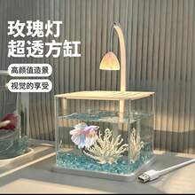 透明壓克力魚缸 冰晶景觀桌面創意鬥魚缸 水鑽全套景觀魚缸 USB線 方形金魚缸 - 查看 4