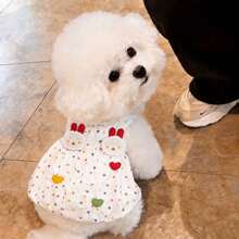 狗狗夏季涼感背心，網布冰絲涼感反光透氣寵物衣服，適合小型犬 - 彩色 - 查看 5