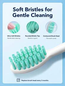 PHILIPS Sonicare HX2421 2100 系列成人充電式聲波電動牙刷，清潔與敏感模式，每分鐘 30,000 次震動，智能計時器，USB 充電底座，14 天電池續航 - 彩色 - 查看 6