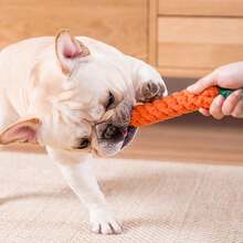 Carrot Shaped Braided Dog Rope Toys, Puppy Teething Chew Toys Durable Pet Molar Interactive Toys For Cats Rabbits Small Dogs Healthy Gift - Multicolor - View 5