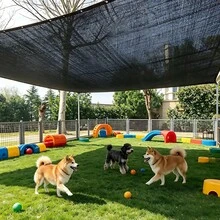 Shade Sails & Nets - Black - View 9