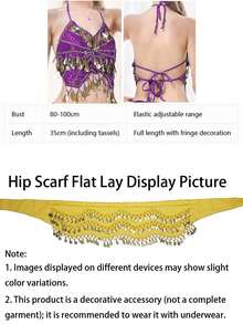 Belly Dance Embroidered Coin Fringe Halter Crop Top With Waist Scarf, Sequin Panel Chiffon Harem Pants For Arabian Themed Party & Stage Performance - Multicolor - View 11