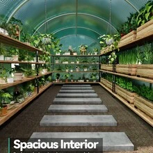 Invernadero túnel gran 15x7x7 pies para jardín - Estructura de acero galvanizado reforzado - Cubierta PE resistente - 8 ventanas con malla -  Ideal para cultivo y protección de plantas en exterior - Puerta enrollable - Ver 2