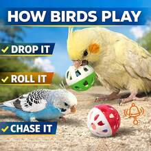 15pcs/10pcs/5pcs/1pc Bird Bell Ball Toy, Jingle Sound Diameter 3.8cm (1.5 Inch), Colorful Cat Teaser Dog Teaser Parrot Toy Ball, Built-In Bell, Interactive Bird Cage Toy, Suitable For Budgies, Cockatiels, Lovebirds And Other Small Birds, Perfect Holiday Gift For Pets - View 2