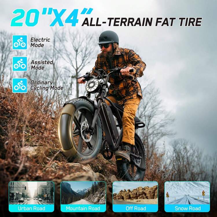 TST Electric Bike For Adults 749W Peak 20" Fat Tire All-Terrain E-Bike 60 Miles Electric Dirt Bike - 48V 15AH Battery - 黑色 - 查看 6