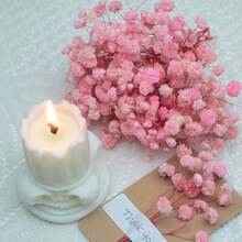Cherry Blossom Pink
