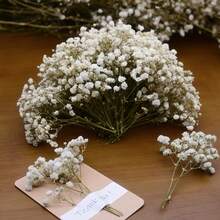 White Green 3