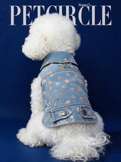 PETCIRCLE 1PC Pet Clothes Small Dog Puppy Outdoor Cute Simple Versatile Style Collar With Leash Clip Gold Foil Floral Pattern Coat