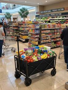 Folding Wagons - Black - View 2
