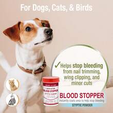 Four Paws Healthy Promise Quick Action Blood Stopper Styptic Powder For Dogs &Amp; Cats, 05 Ounces (Pack Of 1) - White - View 2