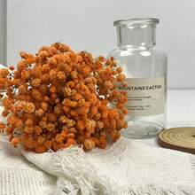 25/50/100/300pcs Realistic Artificial Maintenance-Free Flower Bouquets, Suitable For Home Decor, Floral Arrangements, Flower Shop Supplies, Gypsophila Mini Flower Bouquets, DIY Handmade Crafts, Wedding, Home And Office Decor, Party And Garden Decoration, Pressed Flowers Floating Vase Glass Dome Floral Materials, Wreath Handmade Crafts - Orange - View 6