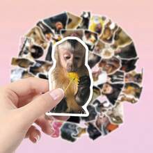 50pcs Monkey & Gorilla Pattern Vinyl Cartoon Highly Attractive Decorative Stickers, Suitable For Planner, Envelope Sealing, Guitar, Musical Instruments, Halloween, Christmas, Teen Party Supplies, Rewards And Inspirational Decoration - 50pcs-multicolor - View 7