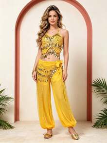 Belly Dance Embroidered Coin Fringe Halter Crop Top With Waist Scarf, Sequin Panel Chiffon Harem Pants For Arabian Themed Party & Stage Performance - Multicolor - View 5
