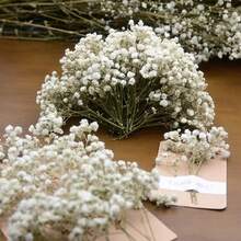 White Green